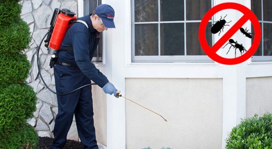 Oğuzlar Pire İlaçlama böcek ilaçlama ve haşere kontrolü — ilaclama-tr.com